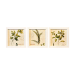 Trio de Quadros 20x20 - Folhas