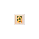 Trio de Quadros 20x20 - Fruits