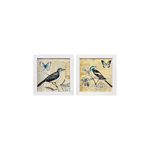 Dupla de Quadro 20x20 - Pássaro - Moldura Branca