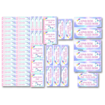 Etiquetas Escolares Personalizadas 65 Unidades + 3 Chaveiros 