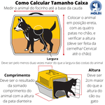 Caixa de Transporte Colorida N1