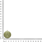 PINGENTE REDONDO NOSSA SENHORA S RESINA ML6026 .