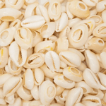 APLIQUE CONCHA BUZIOS PC 20UN 269 .