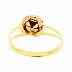 Anel Rosa em Ouro 18K Bicolor