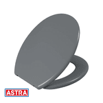 Assento Convencional Plástico TPJ/AS Cinza Escuro CZ1 - ASTRA