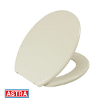 Assento Convencional Plástico TPJ/AS Palha BG8- ASTRA