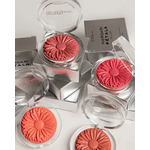 Blush Margari Pétala Maria Margarida Original