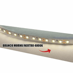 Fita Led ROLO com 5 metros 120 Leds por metro 12v Ip20