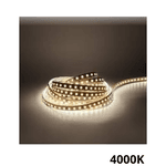 Fita Led ROLO com 5 metros 120 Leds por metro 12v Ip20