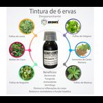 Kit com 5 Tinturas desparasitantes 6 ervas New Quantic – Curativo hepático/ Hipotensor/ Antioxidante/ Diurético