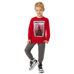 Conjunto moletom vermelho estampado e calça cinza chumbo Marlan 