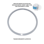 GUARNIÇÃO / ANEL DE VEDAÇÃO AUTOCLAVE 21 LTS GNATUS / DABI / SAEVO / D700