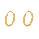 Brinco Argola em Ouro 18K Redondo Bitola 1mm