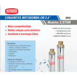 Bomba caneta d'água Submersa 2.5TSM 0,33HP 11 estágios monofásico 220V 2 fios da THEBE 