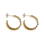 Brinco Meia Argola Folhas com Zircônias Banho de Ouro 18K