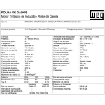 MOTOBOMBA PARA TRANSFERÊNCIA DIESEL | GASOLINA | QAV | AVGAS | ETANOL | ÓLEO LUBRIFICANTE - 400L MIN 