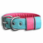 COLEIRA BABY PERSONALIZADA 3cm azul tiffany/rosa com nome em rosa