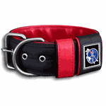 COLEIRA PERSONALIZADA 5cm preta/vermelha com nome em vermelho