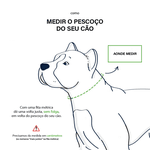 COLEIRA PERSONALIZADA 5cm preta com nome azul bebê (nome e telefone)