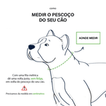 COLEIRA PERSONALIZADA 5cm preta com nome em verde fluorescente