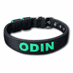 COLEIRA BABY PERSONALIZADA 3cm preta com nome em verde bandeira