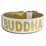 COLEIRA PERSONALIZADA 5cm branca/dourada com nome em dourado