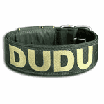 COLEIRA PERSONALIZADA 5cm verde militar com nome em dourado
