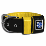 COLEIRA PERSONALIZADA 5cm preta/amarelo com nome em amarelo petróleo