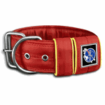 COLEIRA PERSONALIZADA 5cm vermelha com nome em amarelo canário