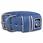 COLEIRA LISA 5cm azul