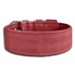 COLEIRA LISA 5cm bordô
