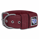 COLEIRA LISA 5cm camurça vinho