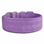 COLEIRA LISA 5cm roxa