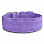 COLEIRA LISA 5cm lilás