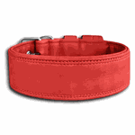 COLEIRA LISA 5cm vermelha