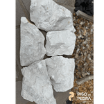 Moledo Carrara Paraná