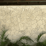 Moledo Roma Flat Orgânica