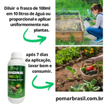 Óleo De Neem Original Nim 1 Litro Original Orgânico