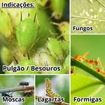 Óleo De Neem Original Nim 1 Litro Original Orgânico