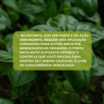 Elimina Mata Mato- Pronto Uso 