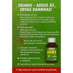 Gramix Original 100ml