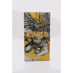 Icarus