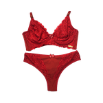 Conjunto Micro/Renda Rubi M (42)