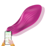 Vibrador De Calcinha Por Aplicativo