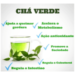 Chá Verde Camellia Sinesis GRAN BELL'S