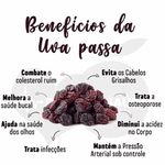 Uva passa preta sem caroço Gran Bell's Premium