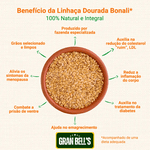 Linhaça Dourada Semente de Linhaça Dourada GRAN BELL'S 1Kg