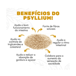 Psyllium Premium Puro GRAN BELL'S 500g