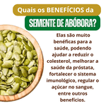 Semente De Abóbora Sem Casca Torrada Sem Sal GRAN BELL'S