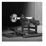 Hip Thrust - Line - XT